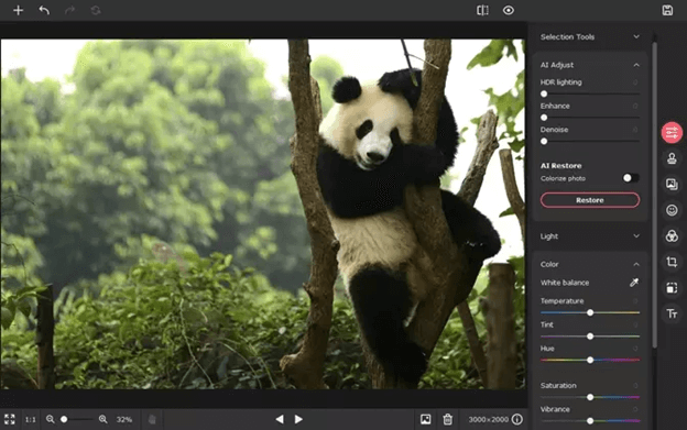 Movavi Picverse Photo Editor - Best Image Viewer for mac