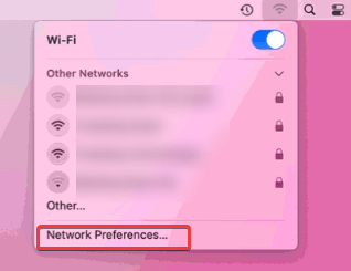Network Preference